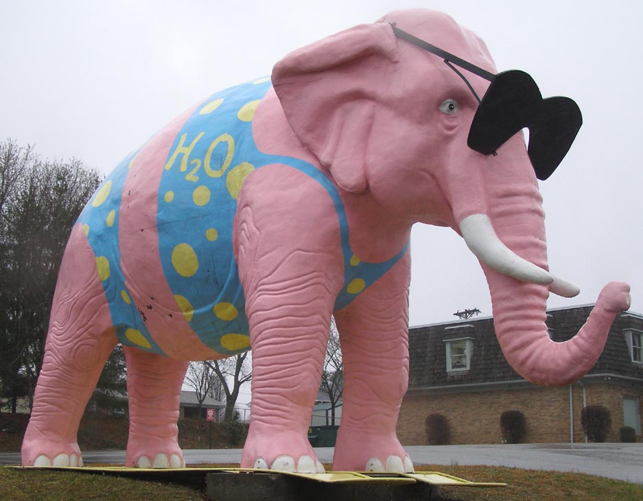 Живой слон цена. Розовый слон в Переславле Залесском. Розовый Слоник. Памятник слону. Розовые слоны.