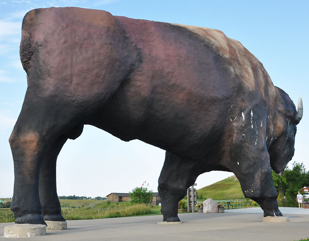 Buffalo & Bison Statues
