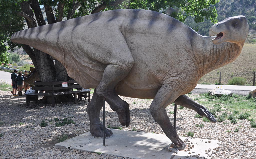 dinosaur ridge museum