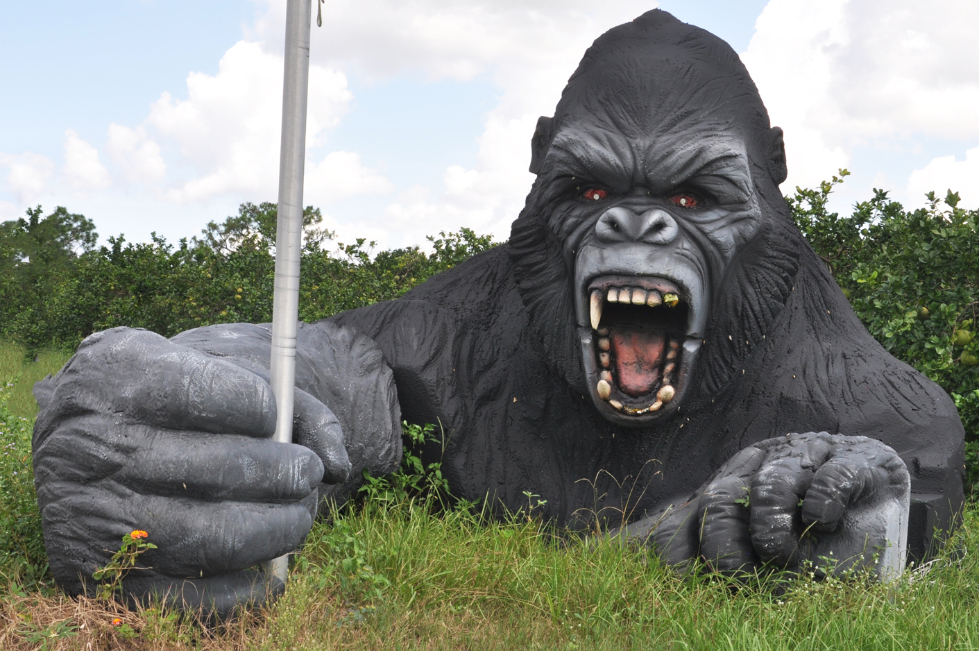 Gorilla & Monkey Statues | RoadsideArchitecture.com