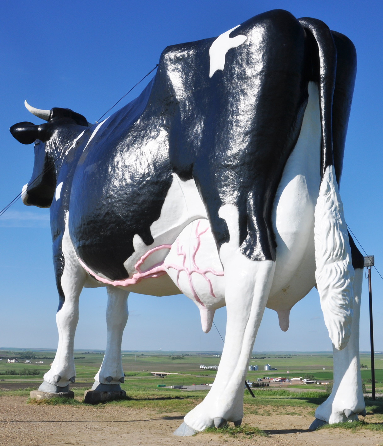 Meet Moouis Vuitton, the life-size cow purse sculpture of Forest Hills -  Lakewood/East Dallas